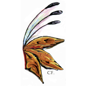 Logo von Holz & Design Clemens Furtner
