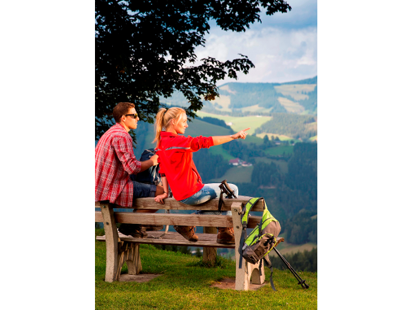 Bild 4 von Naturpark Almenland