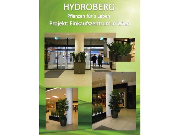 Bild 3 von Berg Alexander - Hydroberg