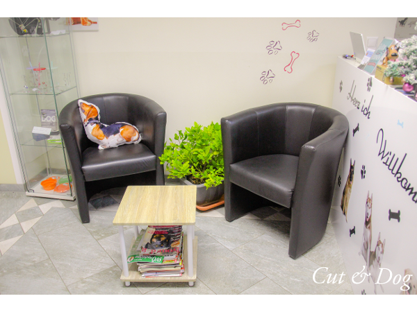 Bild 10 von Hundesalon Cut & Dog