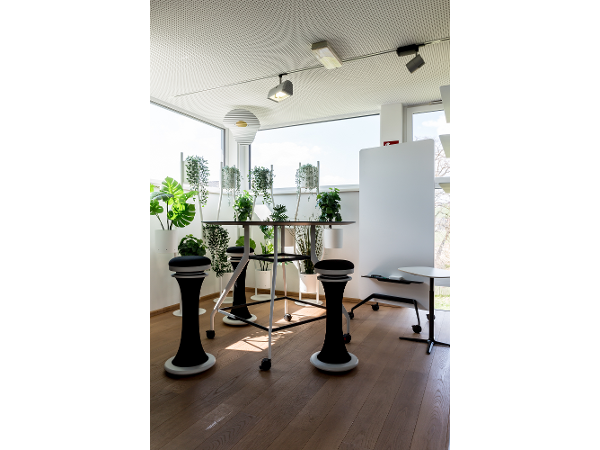 Bild 1 von Selmer GmbH