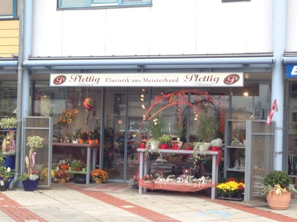 Bild 1 von Blumen Plettig
