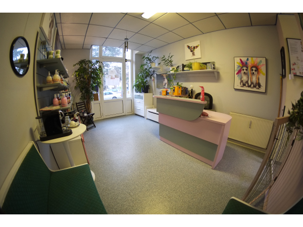 Bild 4 von Hundesalon Wash´N´Wag