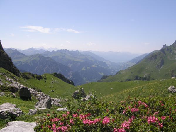 Bild 2 von Biosphärenpark Großes Walsertal