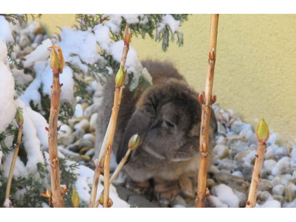 Bild 10 von Haus Resi - Gästebetten u. Ferienwohnungen