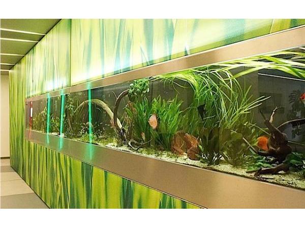 Bild 8 von Zierfisch Zentrum Austria