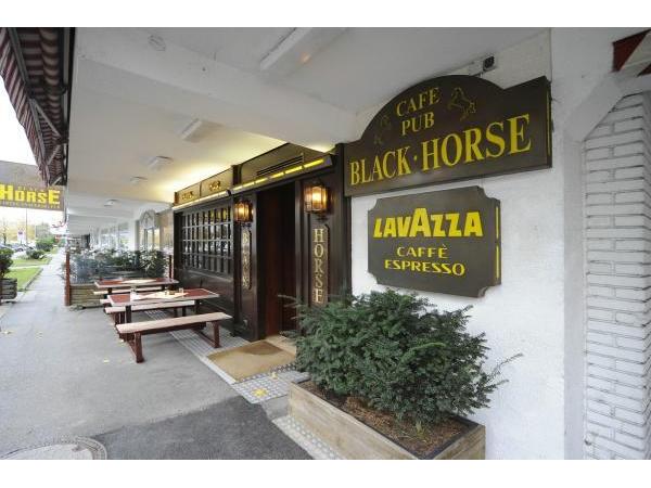 Bild 1 von Black-Horse - Treichl GmbH