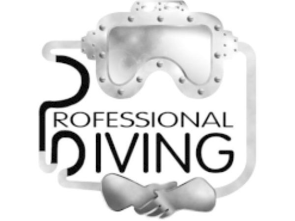 Bild 2 von Professional Diving