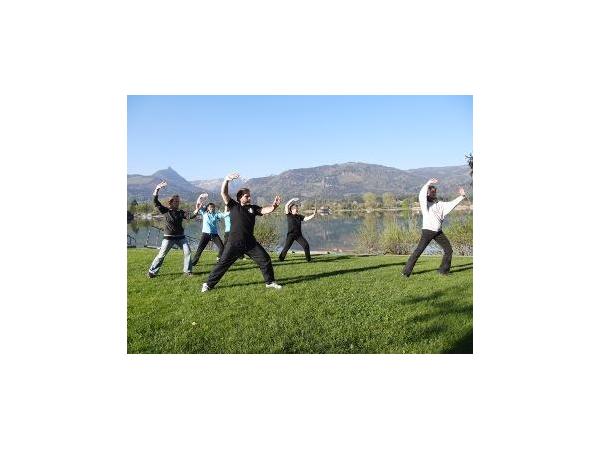 Bild 3 von Wushu Academy