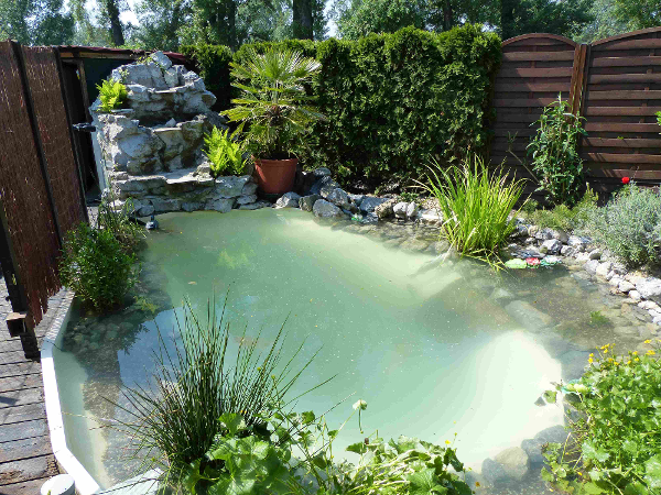 Bild 11 von Teichcenter Wittau