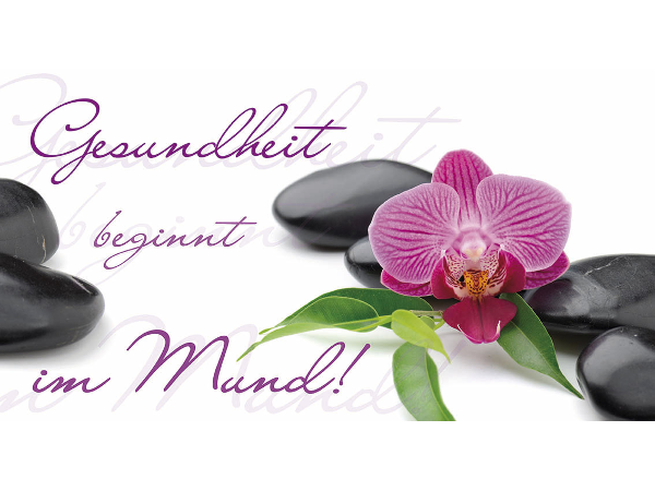 Bild 6 von Dr. med. dent. Martha L. Bachmayer