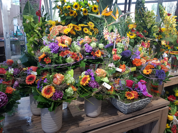 Bild 109 von Gartenbau-Blumen Helmut Friedl