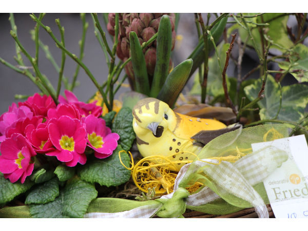 Bild 140 von Gartenbau-Blumen Helmut Friedl