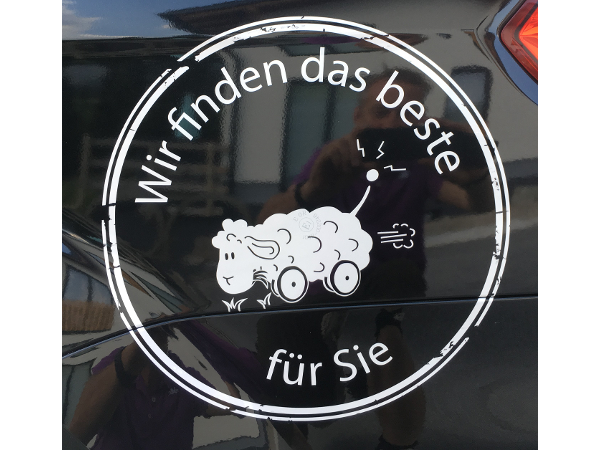 Bild 4 von Roboschaf Tauern - Franz Seiwald