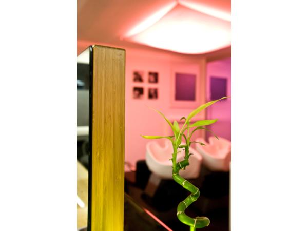 Bild 10 von Nell haar.lounge - Andreas Nell