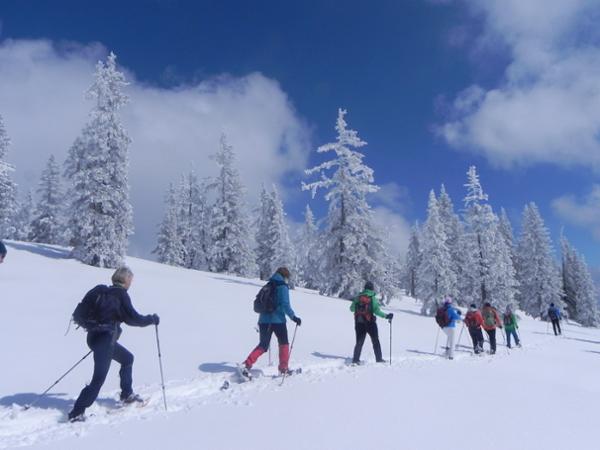 Bild 8 von Premium Wanderhotel Steirerhof