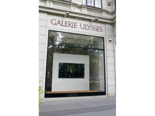Bild 1 von Galerie Ulysses