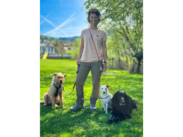 Bild 1 von Mein bunter Hund