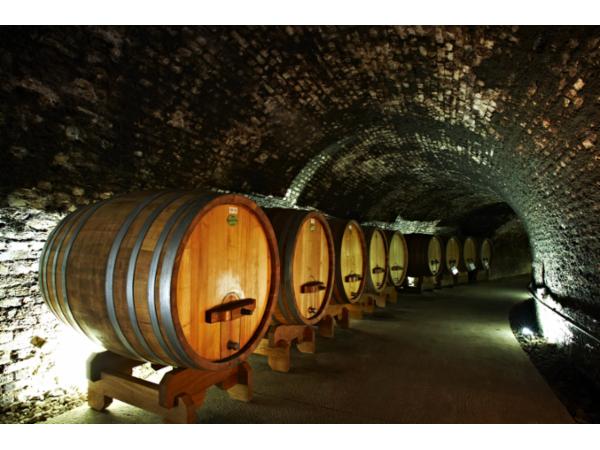 Bild 2 von Weingut Loimer GmbH