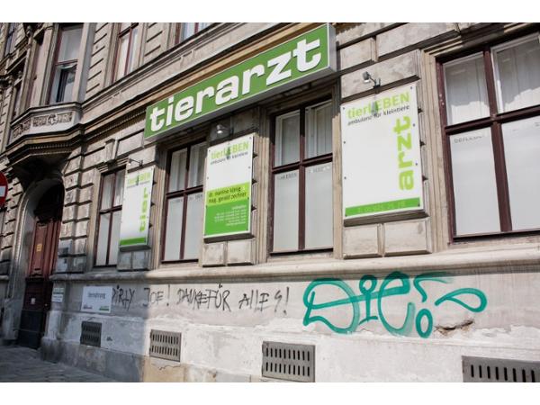 Bild 1 von tierLEBEN - Ambulanz f Kleintiere Dr König + Mag Zechner