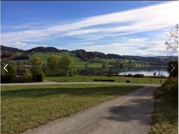 Bild 5 von Islandpferdereithof Burghauser