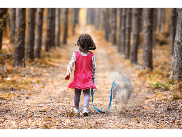 Bild 1 von Kleintierbestattung Tirol GmbH