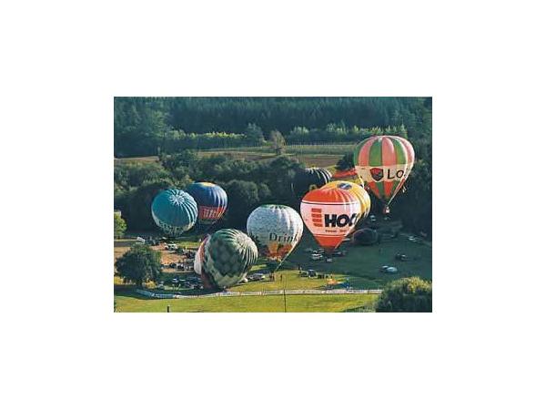 Bild 3 von Flaggl Ballooning GmbH