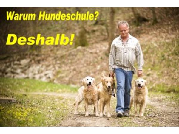 Bild 1 von Chiemgauer Hundeschule - Wir machen Hausbesuche !