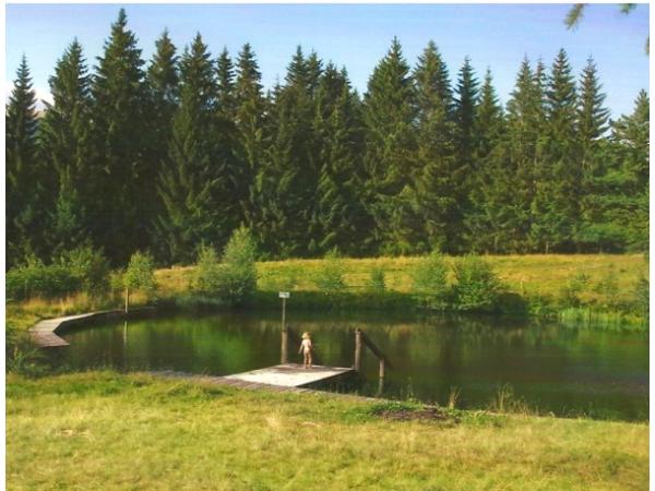 Bild 14 von Grabenhofer Georg Biobauernhof