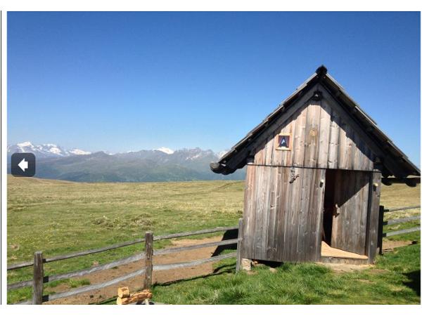 Bild 1 von Peterbauerhütte - Familie Egger