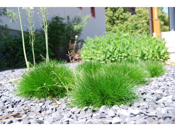 Bild 2 von Gartengestaltung Ing. Sattler