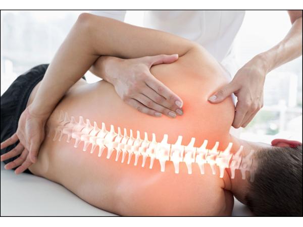 Bild 8 von Peter Grasser, Blutegeltherapie, Schmerztherapie