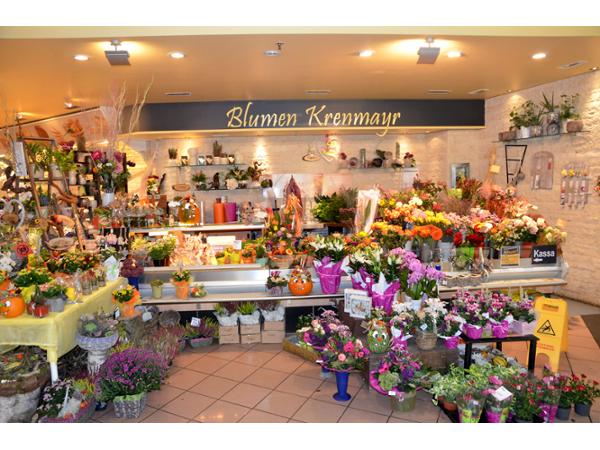 Bild 1 von Blumen Krenmayr