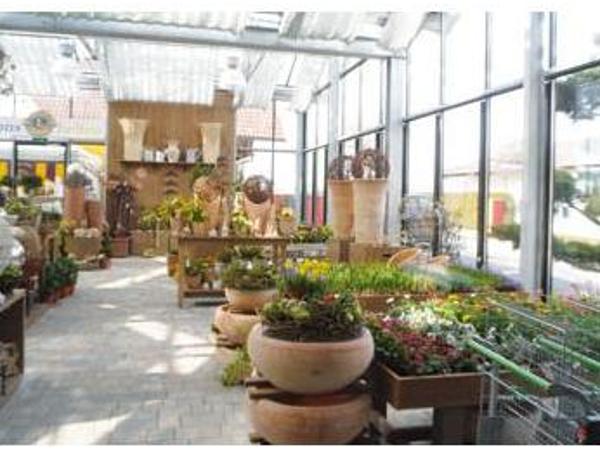 Bild 4 von LANGEDER GmbH garten. leben. wohnen.