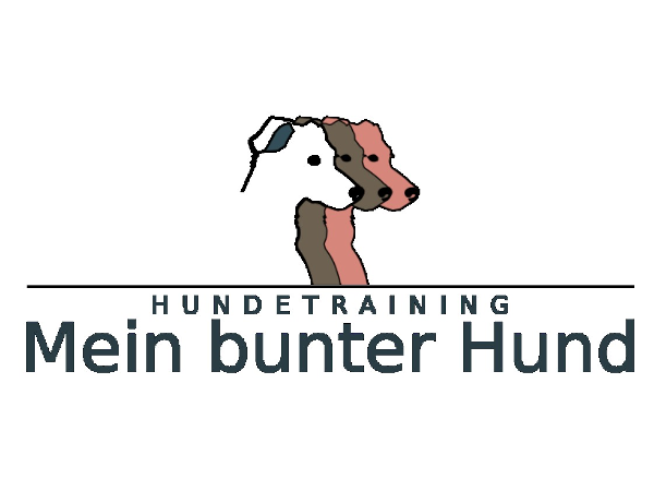 Bild 3 von Mein bunter Hund