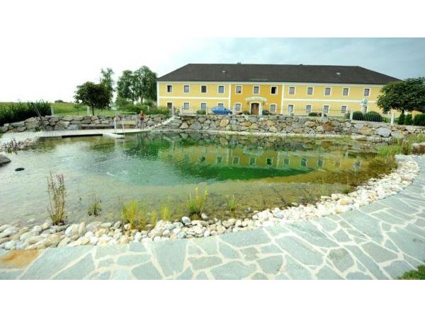 Bild 8 von NEU Gartengestaltung und Biotopbau GmbH