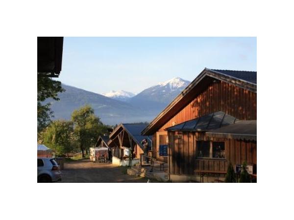 Bild 8 von Reitstall Gnadenwald - Fam Rantner