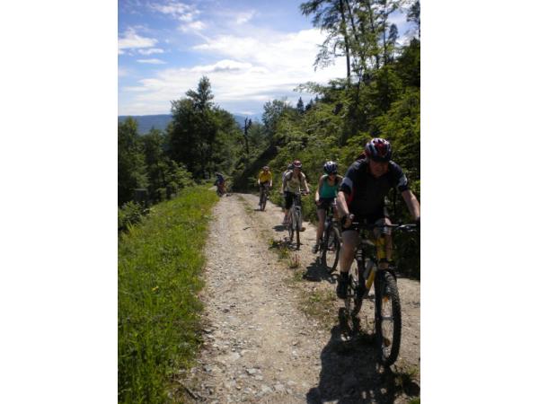 Bild 2 von FAHRRAD-CENTER Faaker See Messner Alexander