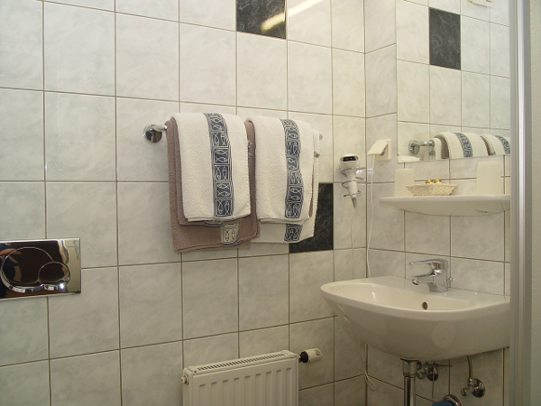 Bild 5 von Pension Ribisch