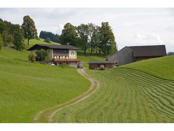 Bild 7 von Moltinger Waltraud u Josef Neureitbauer Gästehaus