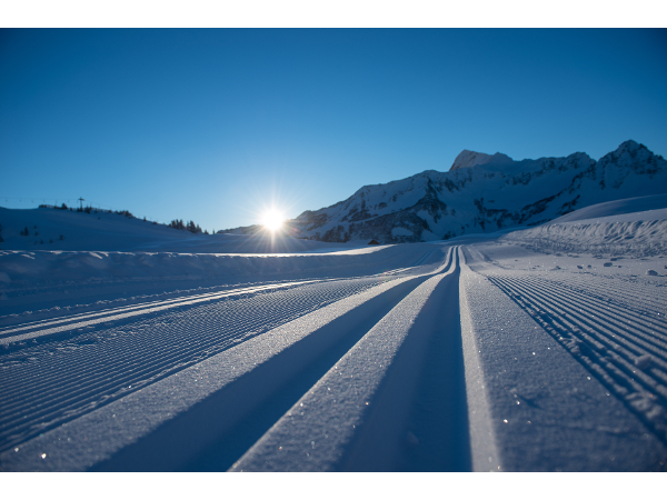 Bild 18 von Hotel Garni Alpina, Familie Bischof
