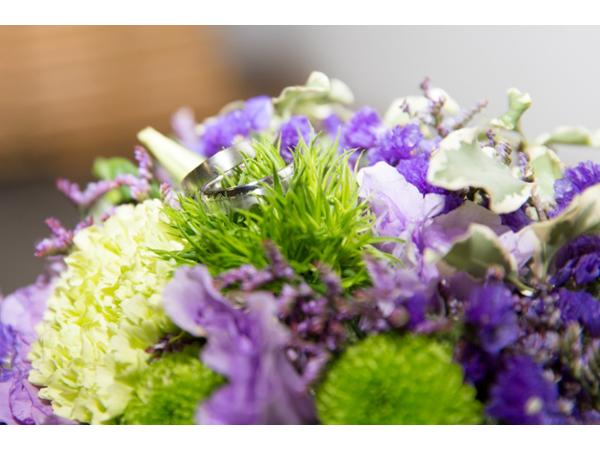 Bild 2 von Blumen Vergissmeinnicht