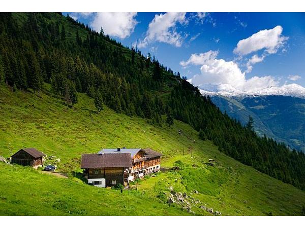 Bild 1 von Dürstein Alm 1400m Schwaigerlehen Familie Bacher