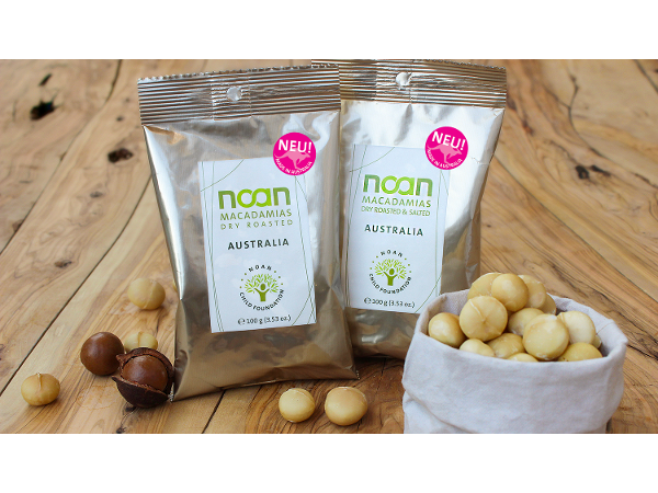 Bild 4 von NOAN GmbH
