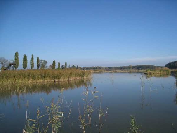 Bild 3 von Fischzucht Christian Machacek