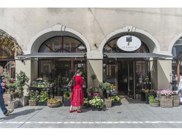 Bild 1 von Blumen Seeböck