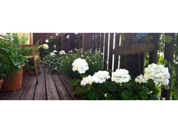 Bild 4 von Gartenbau Kloucek