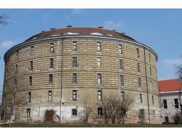 Bild 1 von Pathologisch-anatomische Sammlung im Narrenturm - NHM