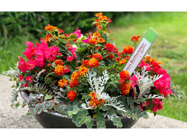 Bild 10 von Blumen Schuster in Meidling - Christine Schuster