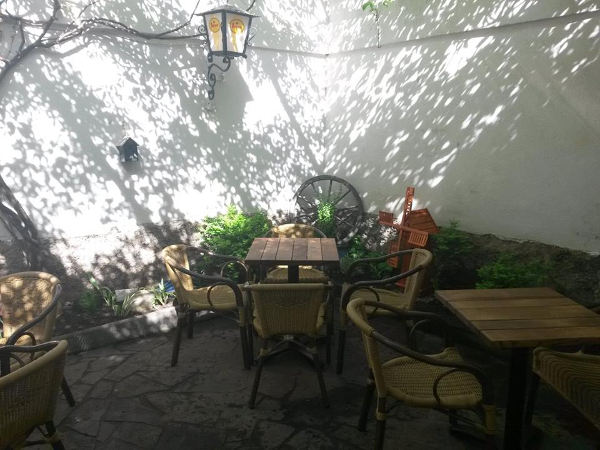 Bild 11 von Old Lemon Tree